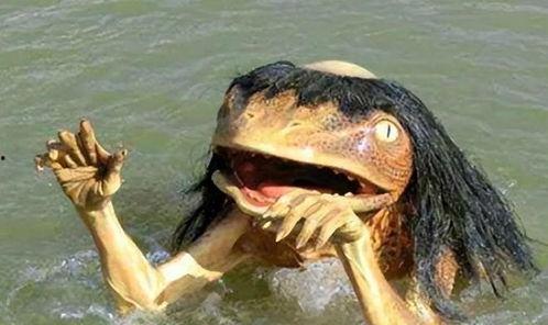 2019国产水猴子视频,揭秘神秘生物的奇幻之旅