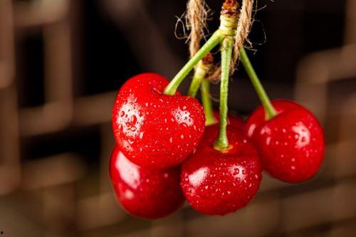 国产樱桃如何修剪视频,国产樱桃修剪技巧视频解析