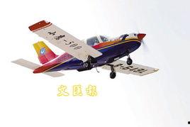 国产漂亮的小飞机视频,翱翔蓝天，科技力量闪耀