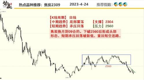 国产h精品视频网站免费,免费畅享的视听盛宴