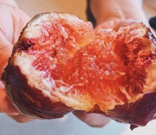 外国人吃中国产地瓜视频,感受瓜乡风情