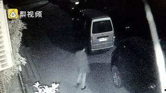 打屁股国产高清视频,揭秘青春校园的另类激情