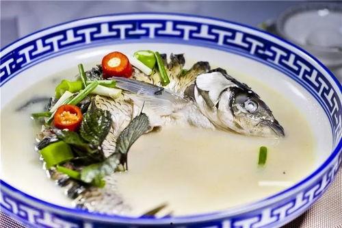 清水鱼视频国产