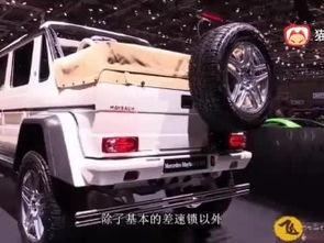 国产特斯拉跑车试驾视频,速度与激情的完美融合