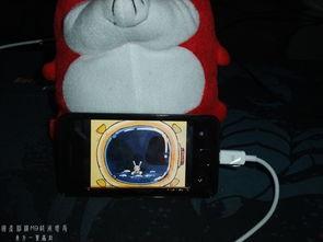 国产动态制霜机视频在线