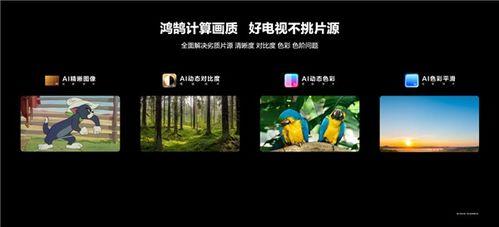 国产a高清视频在线v,在线观看的视觉盛宴解析