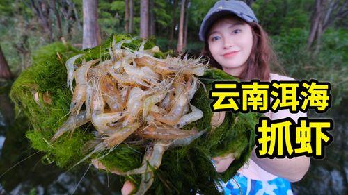 国产抓虾视频大全,捕捉海洋魅力，尽享视觉盛宴