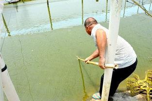 国产抓虾视频大全,捕捉海洋魅力，尽享视觉盛宴