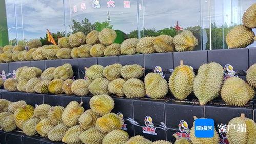 榴莲视频下载国产在线,国产在线娱乐新体验