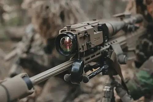 国产战术视频大全,揭秘实战技巧与策略解析