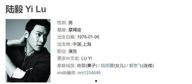 国产5000部部视频,5000部佳片汇聚光影传奇