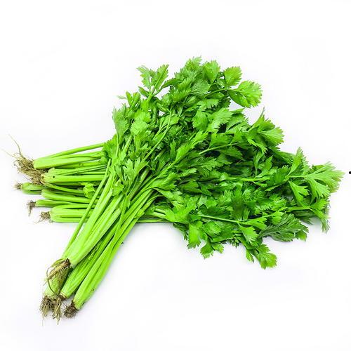 国产香芹图片高清大图视频,高清大图与视频中的绿色魅力