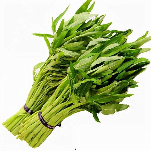 国产香芹图片高清大图视频,高清大图与视频中的绿色魅力