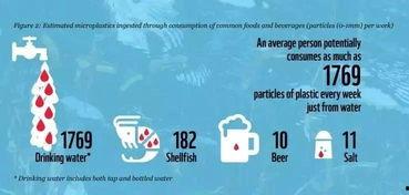 国产综艺周冬雨视频,国产综艺新宠儿的魅力瞬间