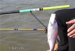 国产白棍断竿视频大全,惊心动魄的极限挑战瞬间