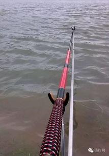 国产白棍断竿视频大全,惊心动魄的极限挑战瞬间