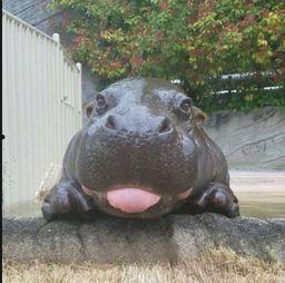 国产色河马视频