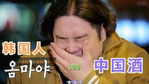 韩国人喝国产白酒视频,口感大揭秘！