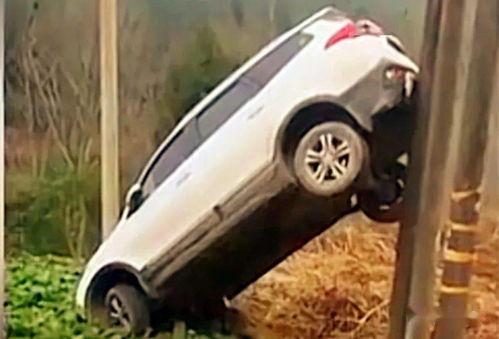 国产稀缺小马拉小车视频,驾驭稀缺魅力，演绎非凡驾驭风采