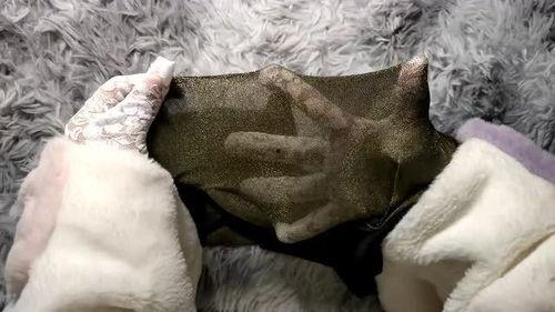 国产丝袜开箱图片视频,时尚与舒适的完美融合