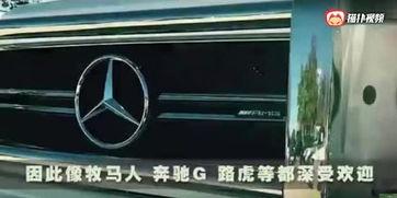 国产汽车驾驶视频大全