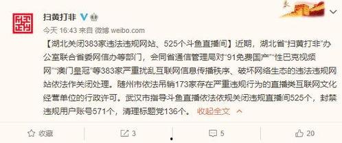 免费国产黄网视频,暗流涌动的网络迷雾